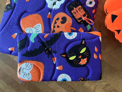 Halloween Book Pouch Set